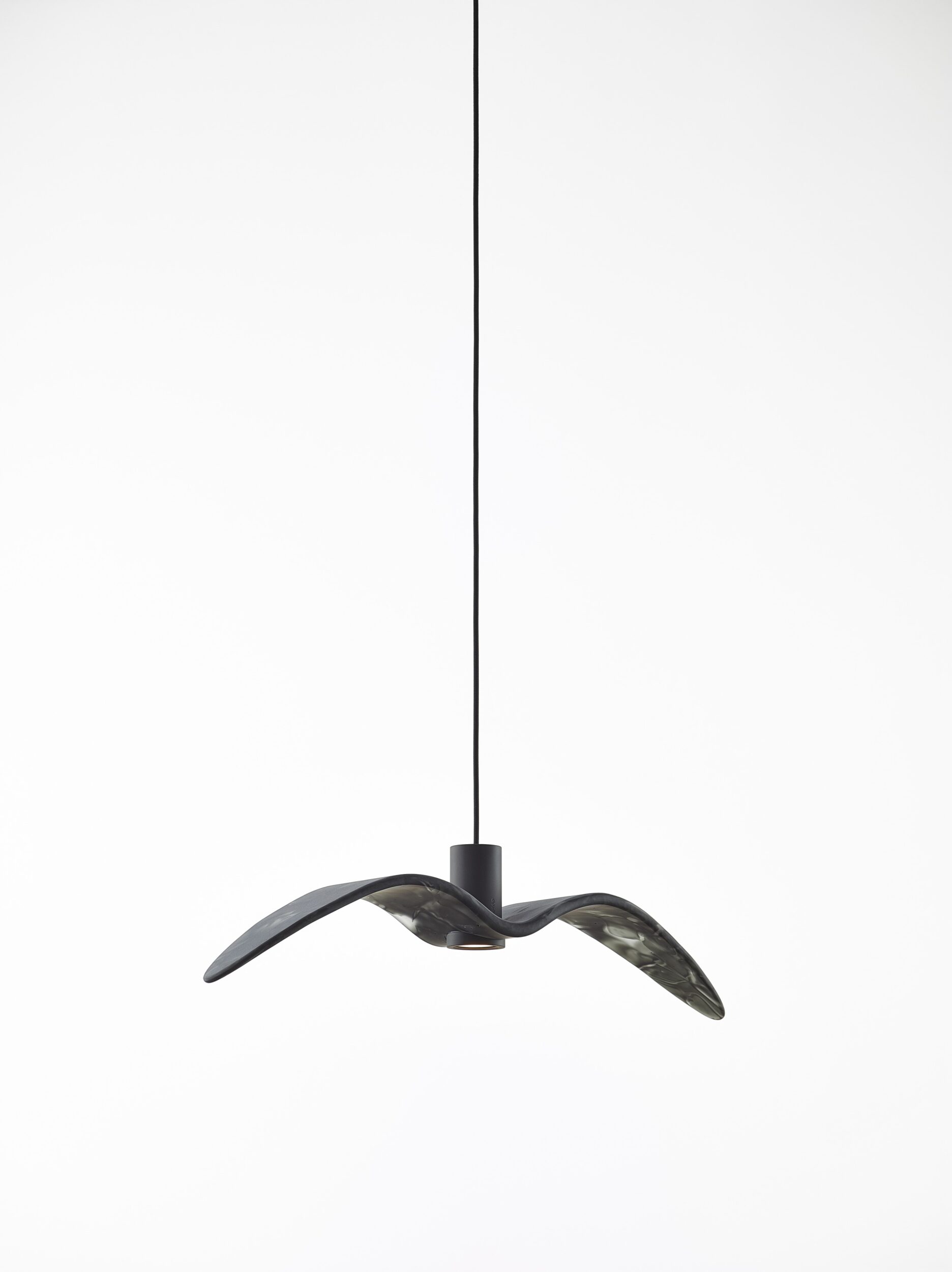 Night Birds 3 Night Birds - imagine 3