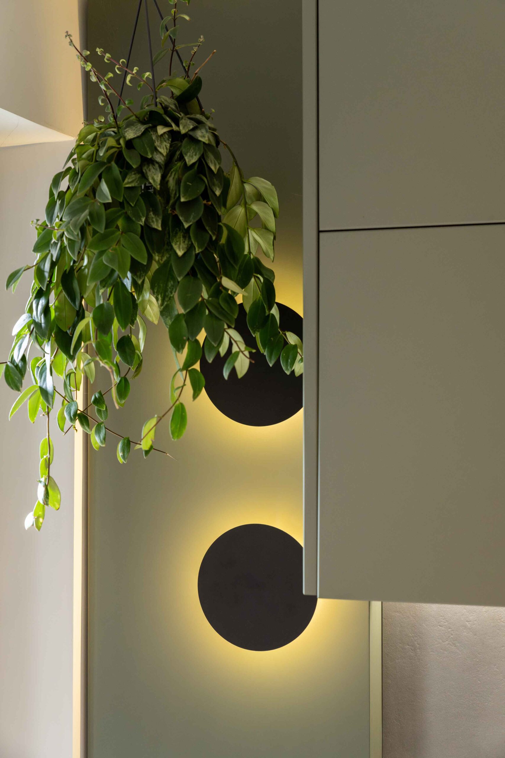 DAAC Banu Manta 2025 marius vasile 4172 m scaled